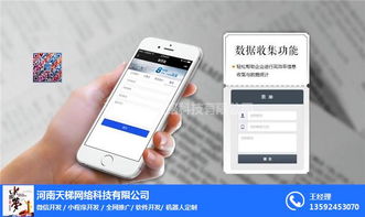 小程序開發(fā)與網(wǎng)絡(luò)技術(shù) 天梯網(wǎng)絡(luò)在陜西的機遇與挑戰(zhàn)